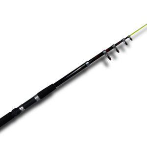 Vara Telescópica Molinete