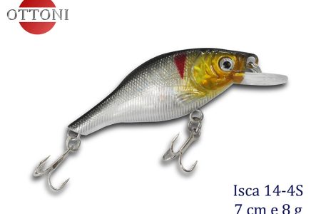 14-4S Lambari pequeno