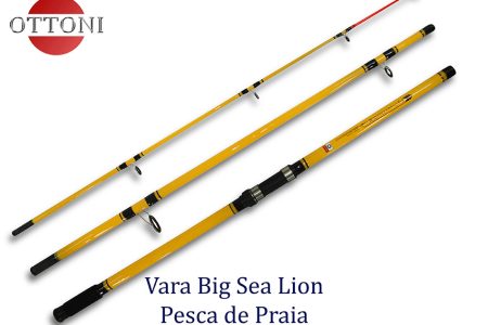 Big Ocean Lion - BOL