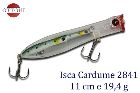 Isca Cardume 2841