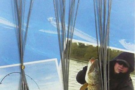 Leader C-Anzol WL70008