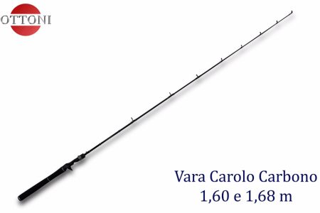 Vara-Carolo-COL.jpg