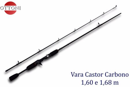 Vara-Castor-CTO.jpg