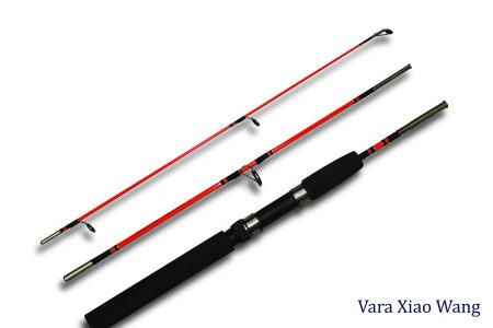 Vara Xiao Wang (AXW)