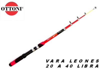 WhatsApp Image 2024-09-21 at 21.58.32 (1)