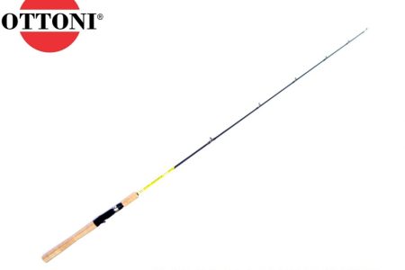 WhatsApp Image 2025-05-29 at 12.37.39 (2)